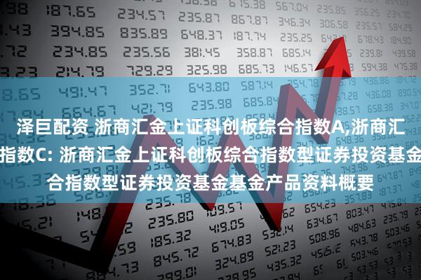 泽巨配资 浙商汇金上证科创板综合指数A,浙商汇金上证科创板综合指数C: 浙商汇金上证科创板综合指数型证券投资基金基金产品资料概要