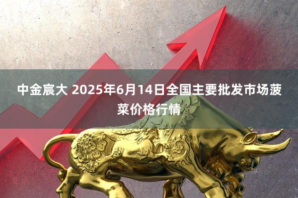 中金宸大 2025年6月14日全国主要批发市场菠菜价格行情